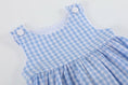 Load image into Gallery viewer, Dress: Blue Gingham Goose A Line Dress