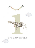 Load image into Gallery viewer, Baby Bundles: Beyond Measure #1 (Take Home Box) - Newborn Boy