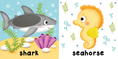 Load image into Gallery viewer, Board Book: Brilliant Baby: In the Ocean - Children's Touch and Feel and Learn Sensory Book