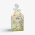 Load image into Gallery viewer, Baby Bundle: Bun Bun - A Lovey Story