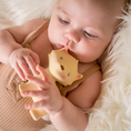 Load image into Gallery viewer, Natural Organic Teether, Rattle & Bath Toy: Arctic Fox
