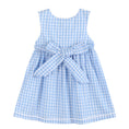 Load image into Gallery viewer, Dress: Blue Gingham Goose A Line Dress