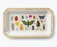 Load image into Gallery viewer, Curio Large Porcelain Catchall Tray