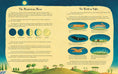 Load image into Gallery viewer, Board Book: I Took the Moon for a Walk