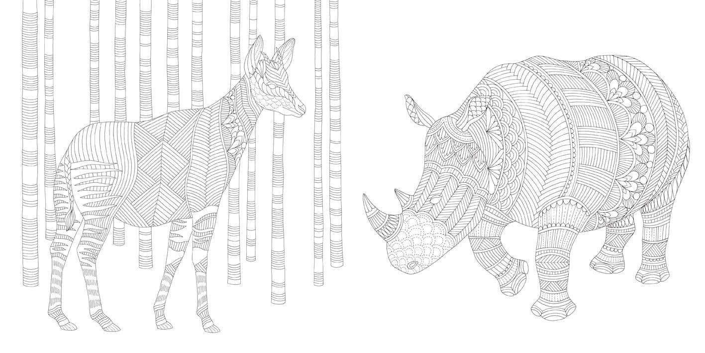 Coloring Book: Millie Marotta's Brilliant Beasts