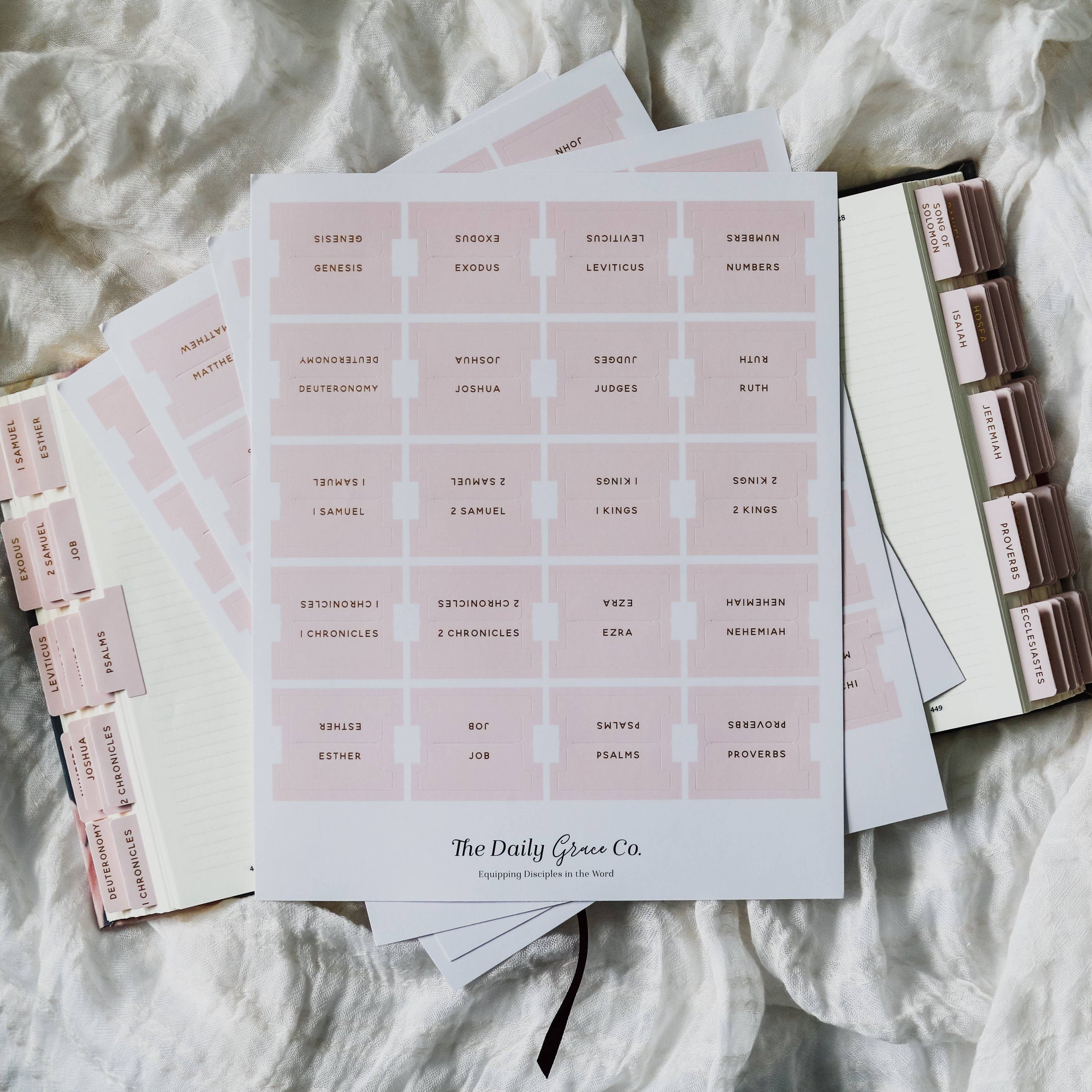 Bible Tabs: Blush