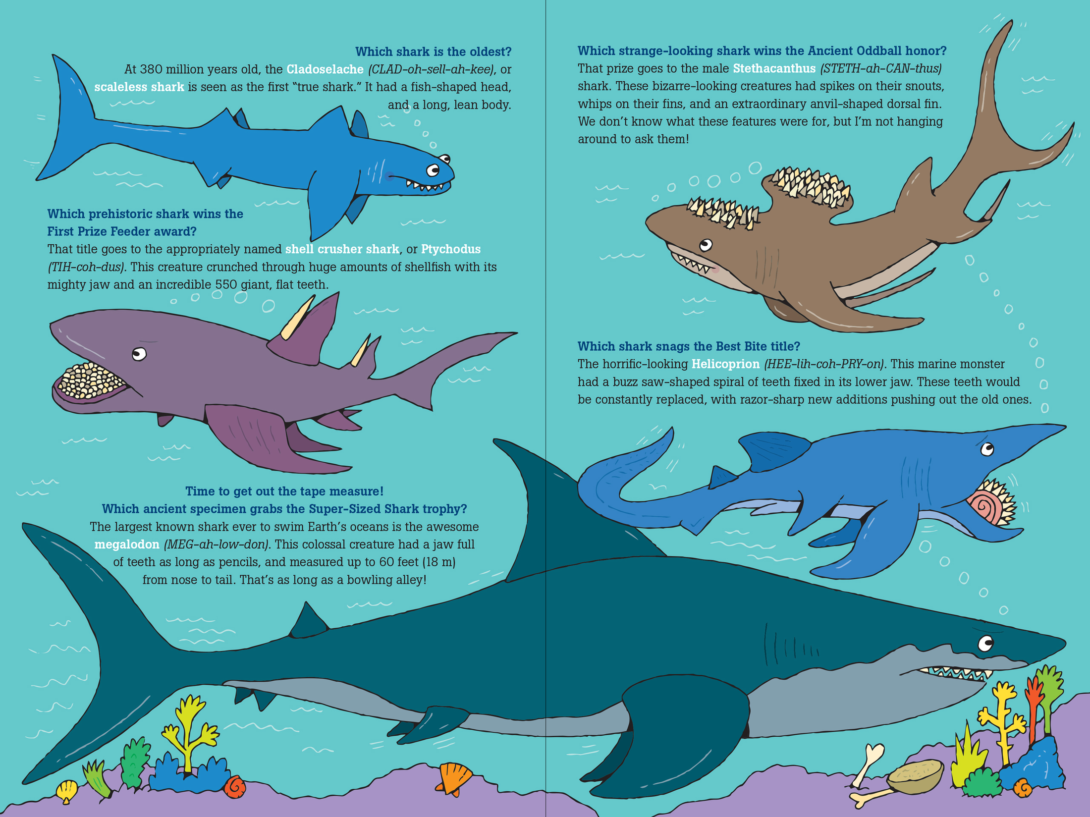 Book: 100 Questions About Sharks