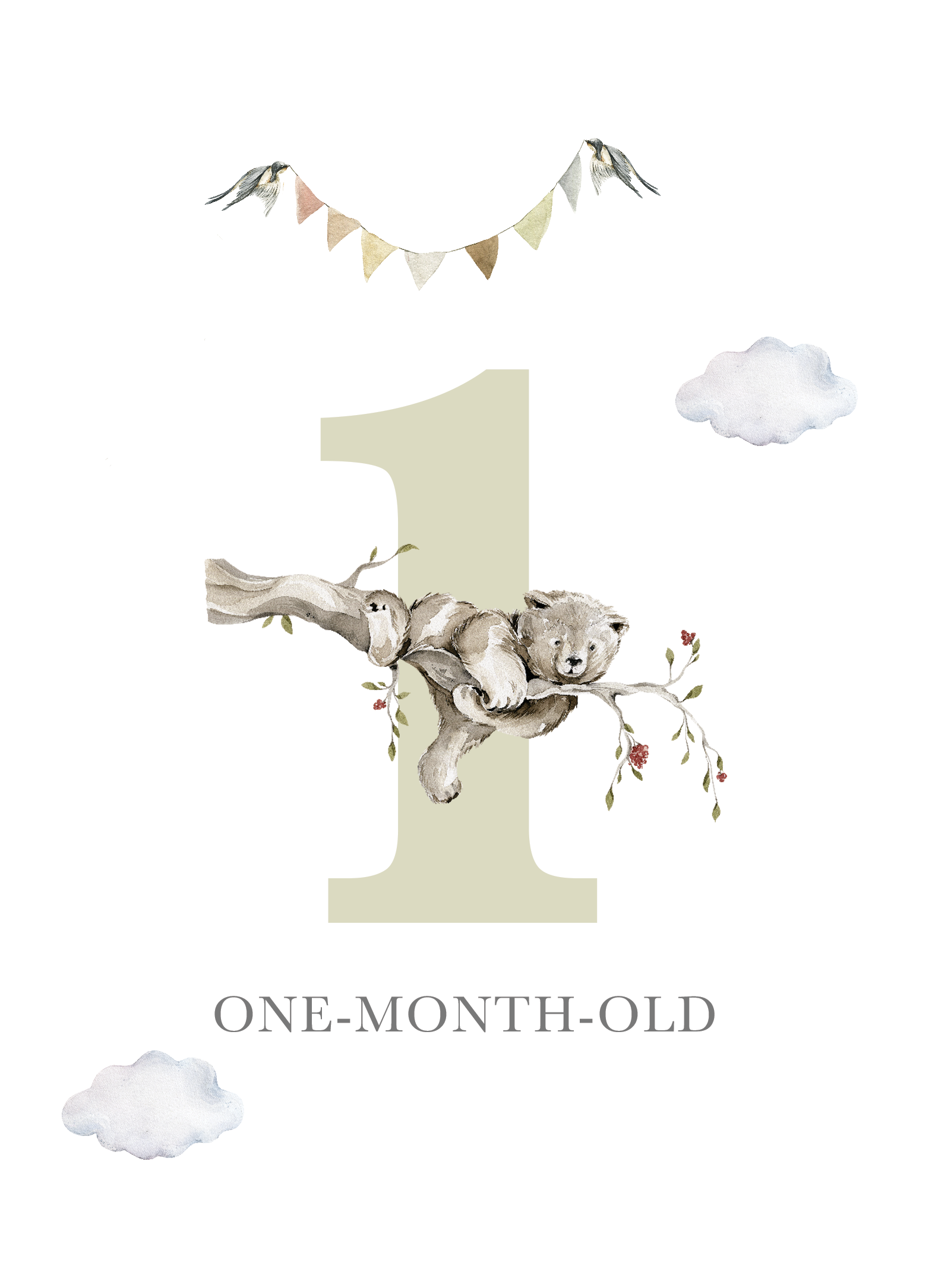 Milestone Cards (Baby Boy): Bear Forest