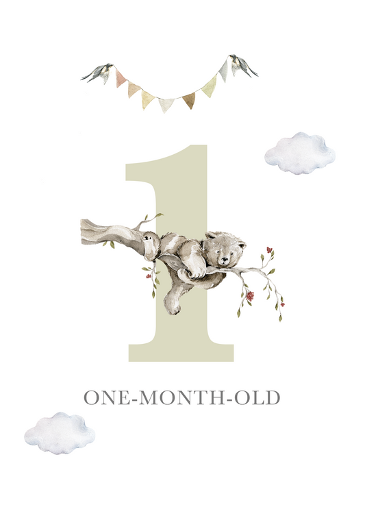 Milestone Cards (Baby Boy): Bear Forest