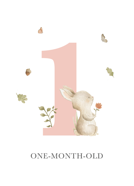 Milestone Cards (Baby Girl): Woodland Forest