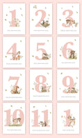 Load image into Gallery viewer, Milestone Cards (Baby Girl): Woodland Forest
