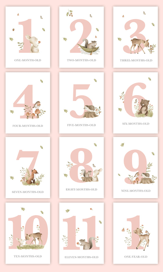 Milestone Cards (Baby Girl): Forest Friends