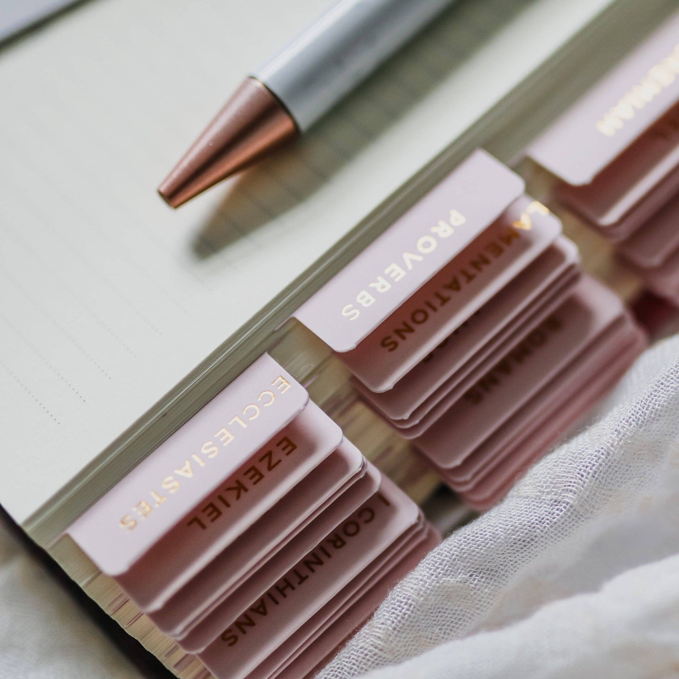 Bible Tabs: Blush