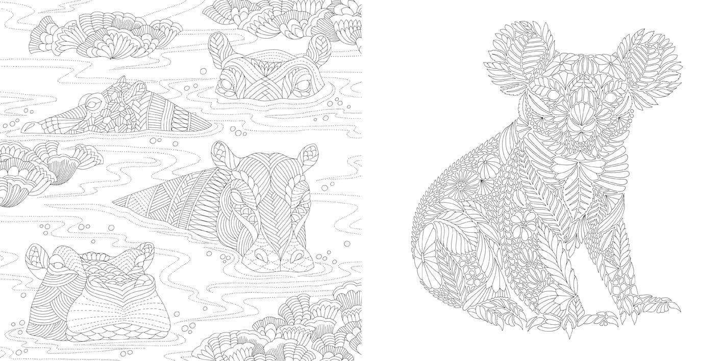 Coloring Book: Millie Marotta's Wildlife Wonders