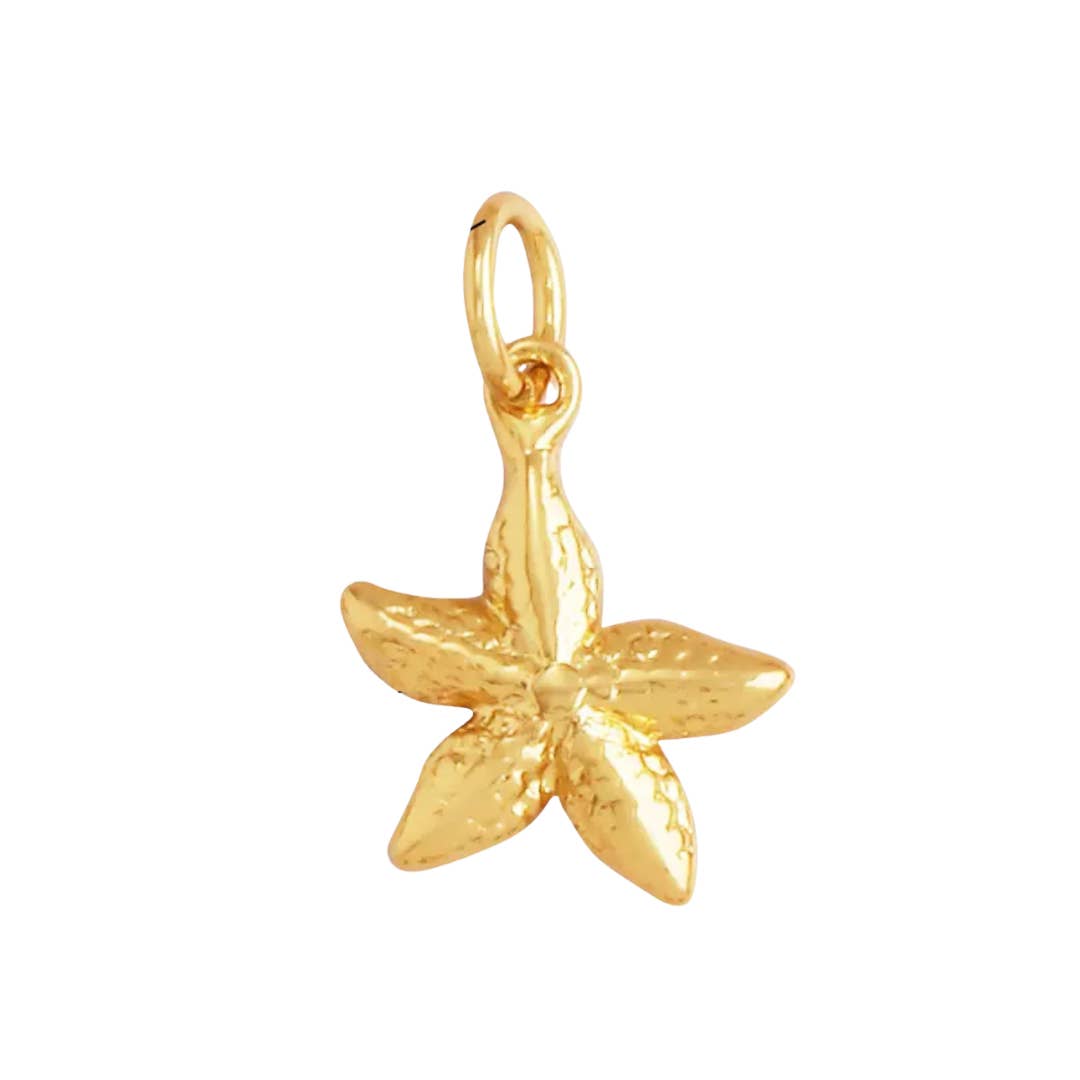 Charm (Mini Series): Mini Starfish Charm For Charm Bar & Charm Necklace