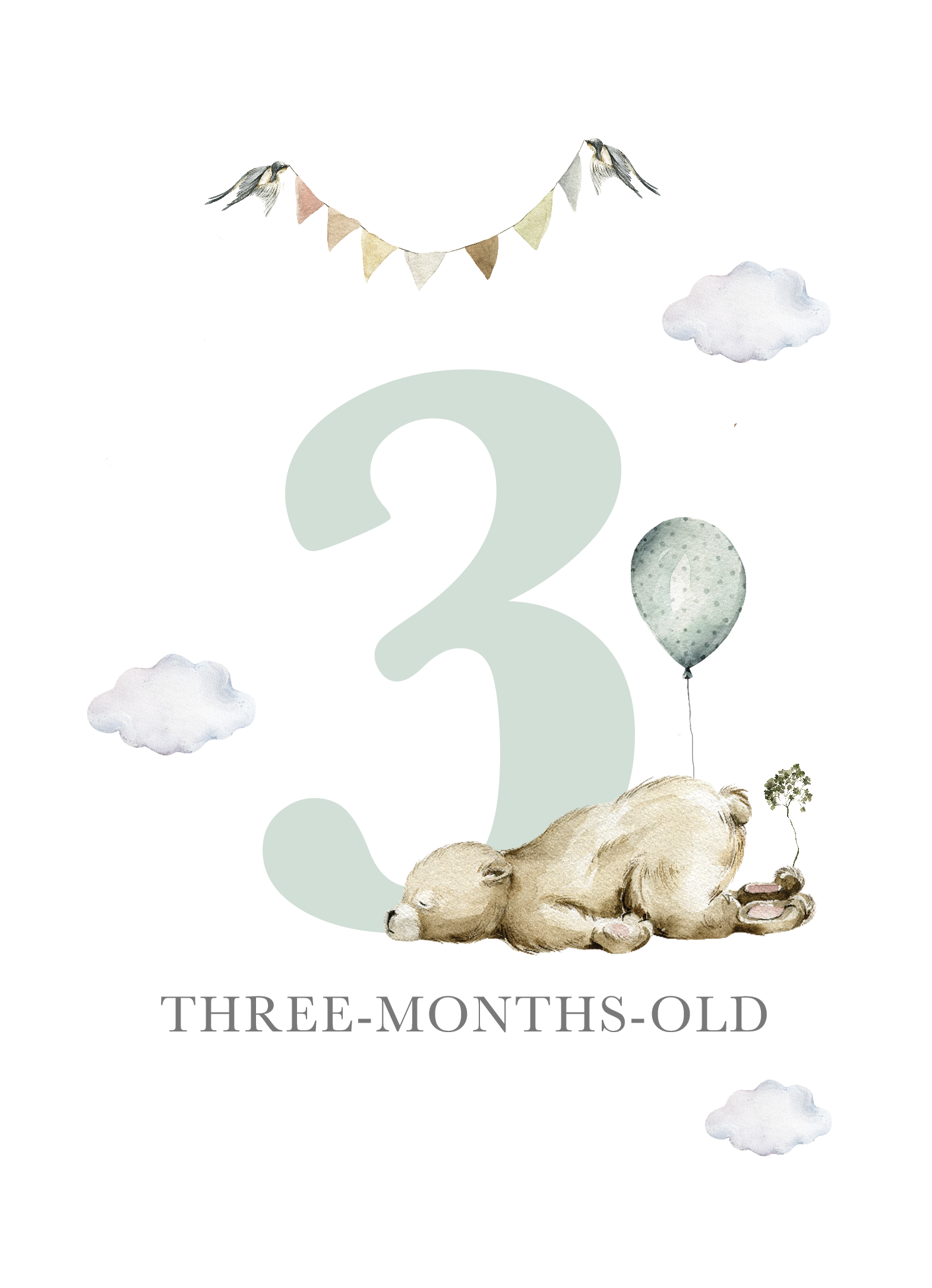 Milestone Cards (Baby Boy): Bear Forest