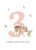 Load image into Gallery viewer, Milestone Cards (Baby Girl): Woodland Forest
