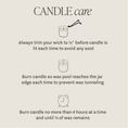 Load image into Gallery viewer, Candle: Sandalwood Rose Soy Candle (11 oz)
