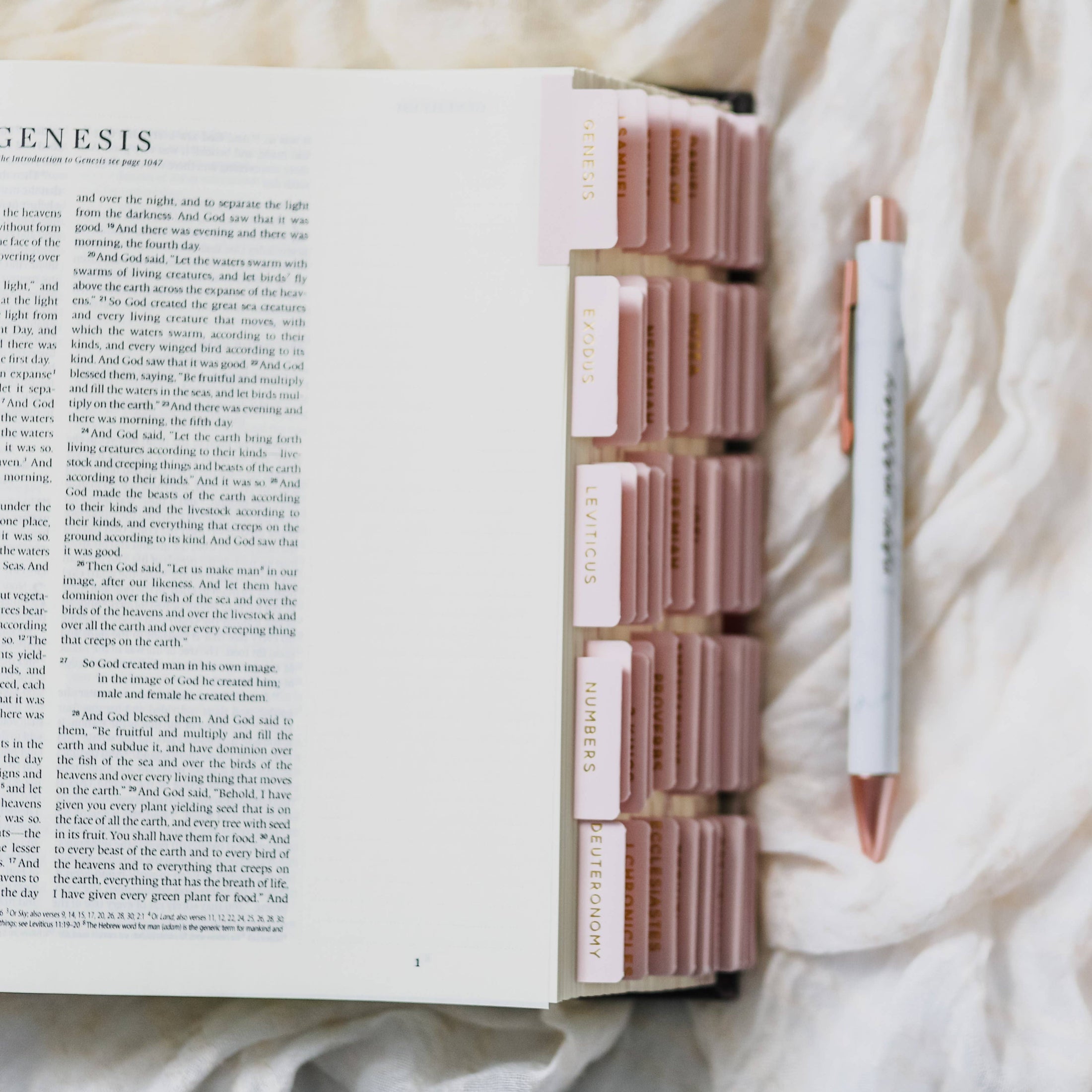 Bible Tabs: Blush