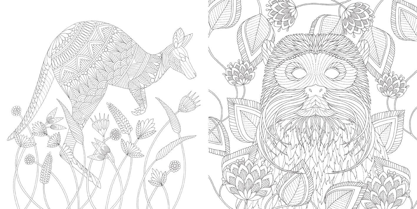 Coloring Book: Millie Marotta's Brilliant Beasts