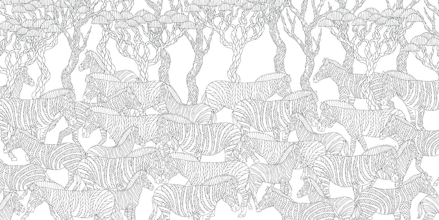 Coloring Book: Millie Marotta's Brilliant Beasts