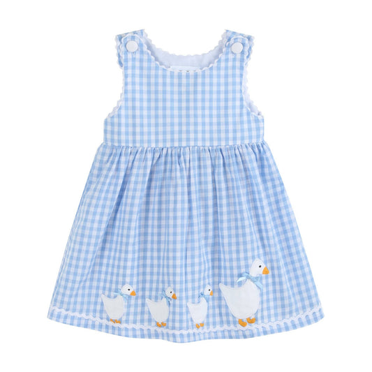 Dress: Blue Gingham Goose A Line Dress
