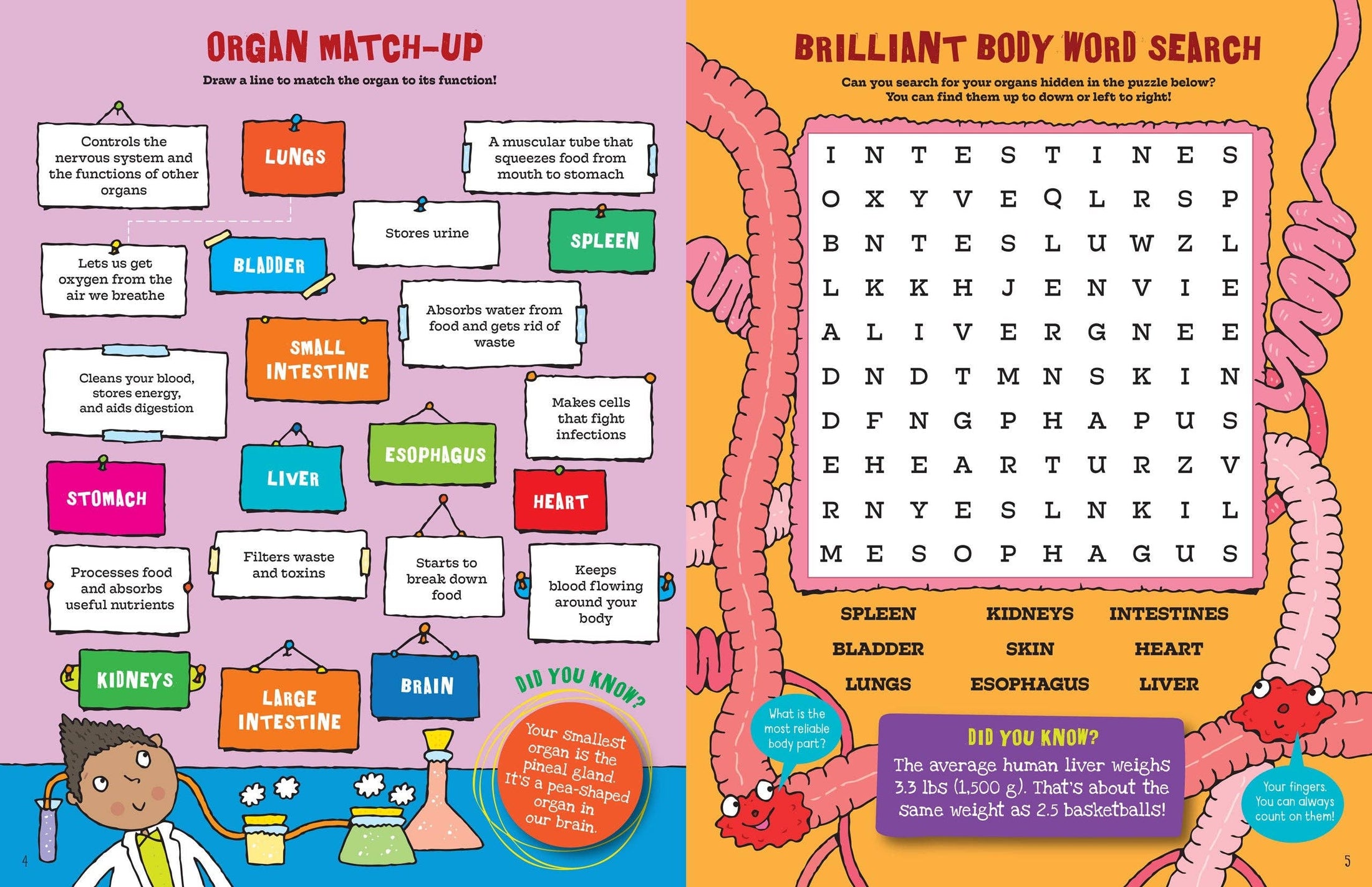 Book: The Human Body Activity Book