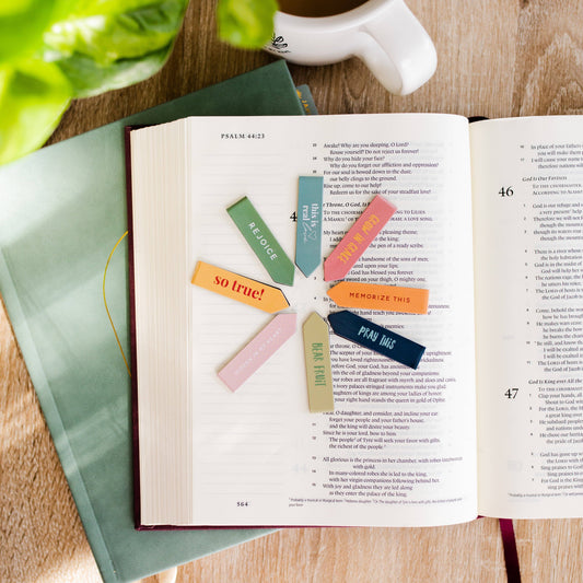 Magnetic Bookmark Set: Bear Fruit