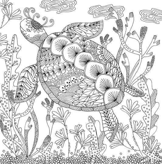 Coloring Book: Follow Your Dreams