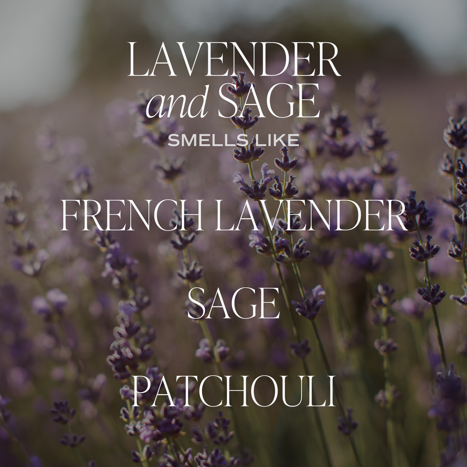 Candle: Lavender and Sage 11 oz Soy Candle