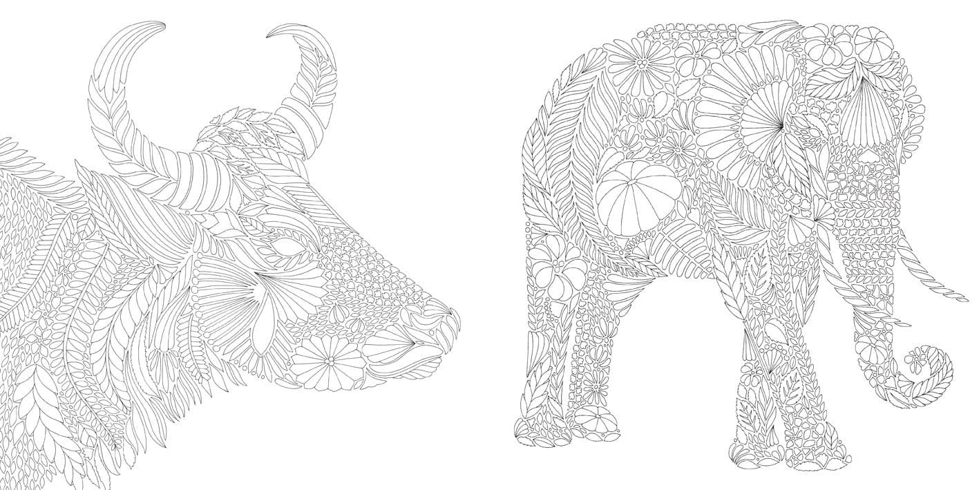 Coloring Book: Millie Marotta's Brilliant Beasts