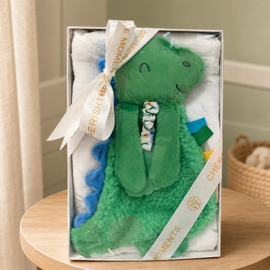 Baby Bundle (Box): Plush Lovey Dino with Silicone Teether + Swaddle