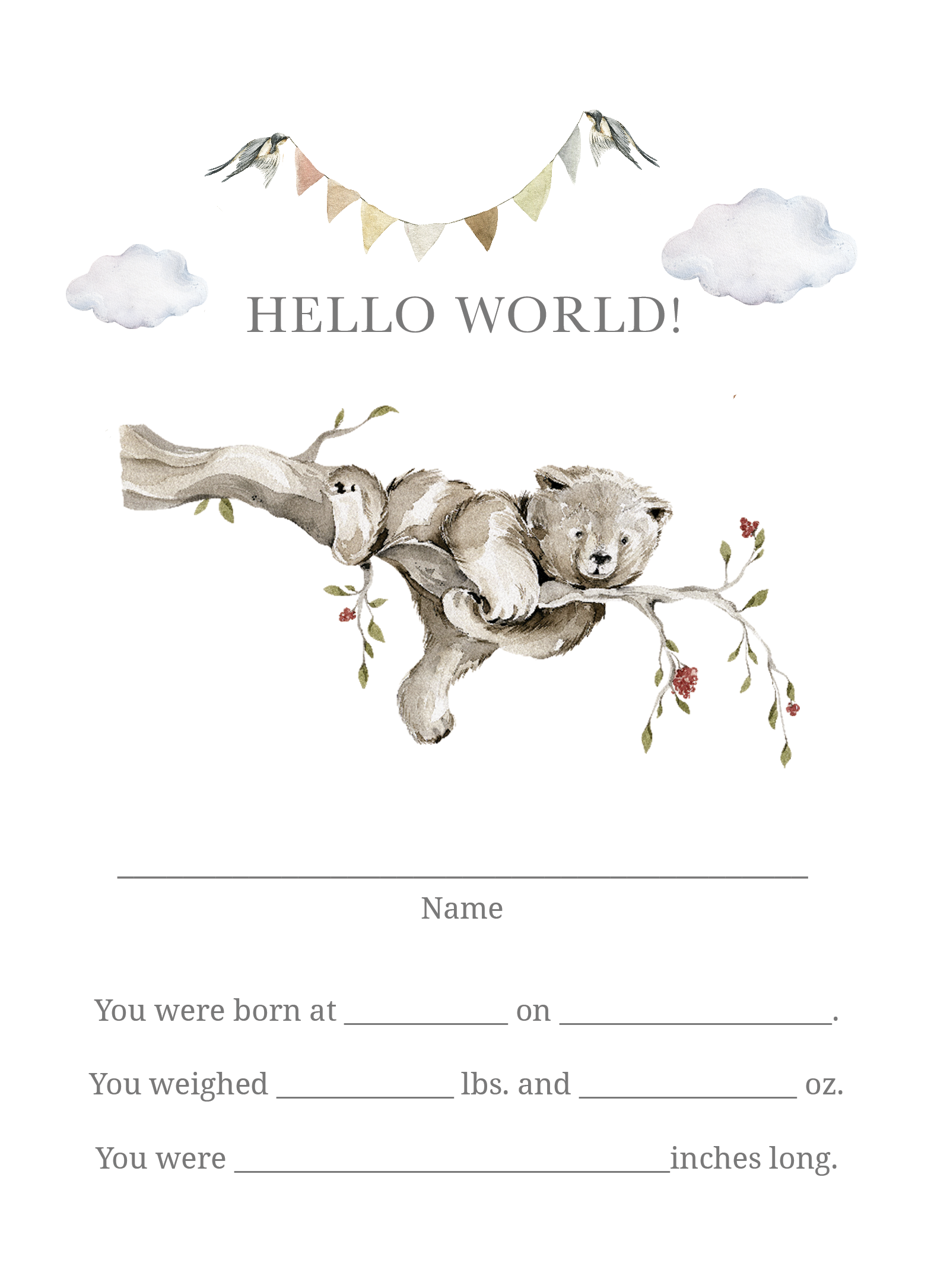 Milestone Cards (Baby Boy): Bear Forest