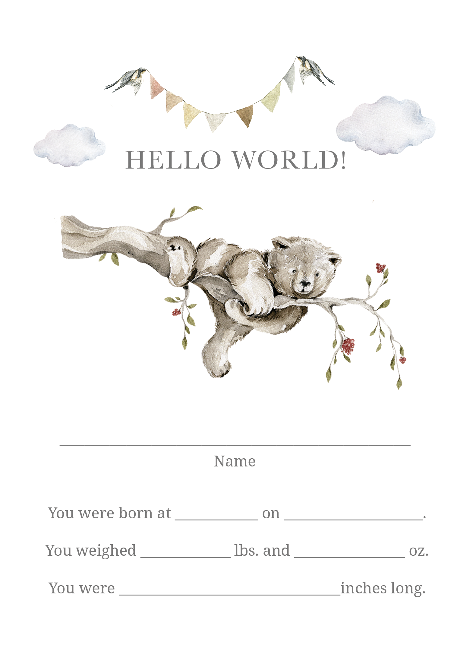 Baby Bundles: Beyond Measure #1 (Take Home Box) - Newborn Boy