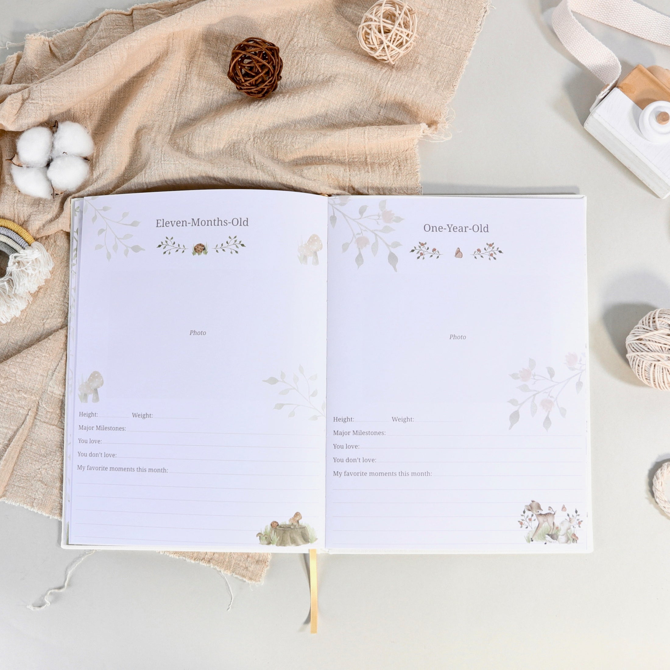 Subscription Baby Box Series: Beyond Measure