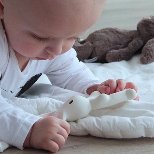 Organic Natural Teether, Rattle & Bath Toy: Havah the Bunny