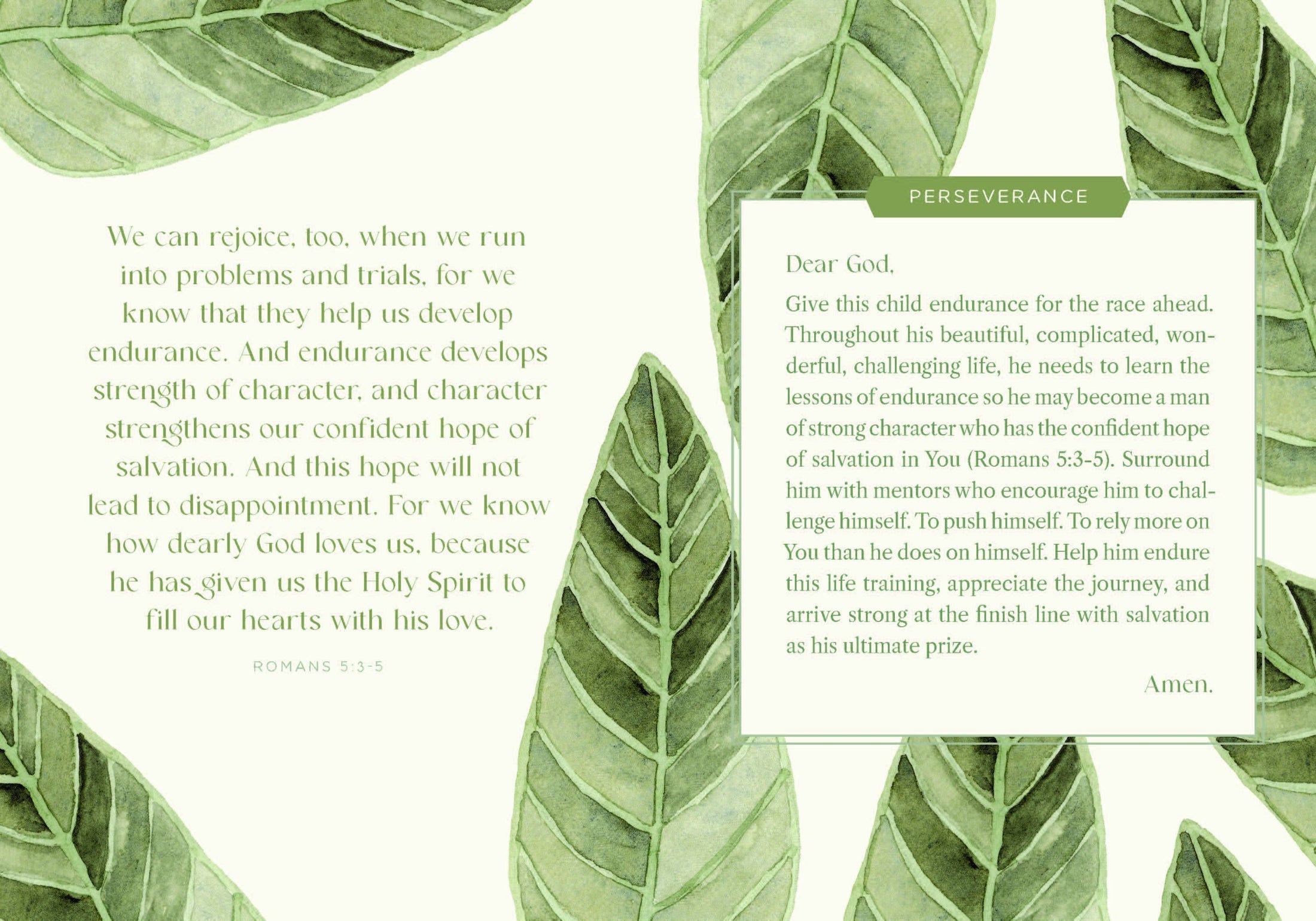 Newborn Bundle: Bedtime Routine (Up, Up, & Away)