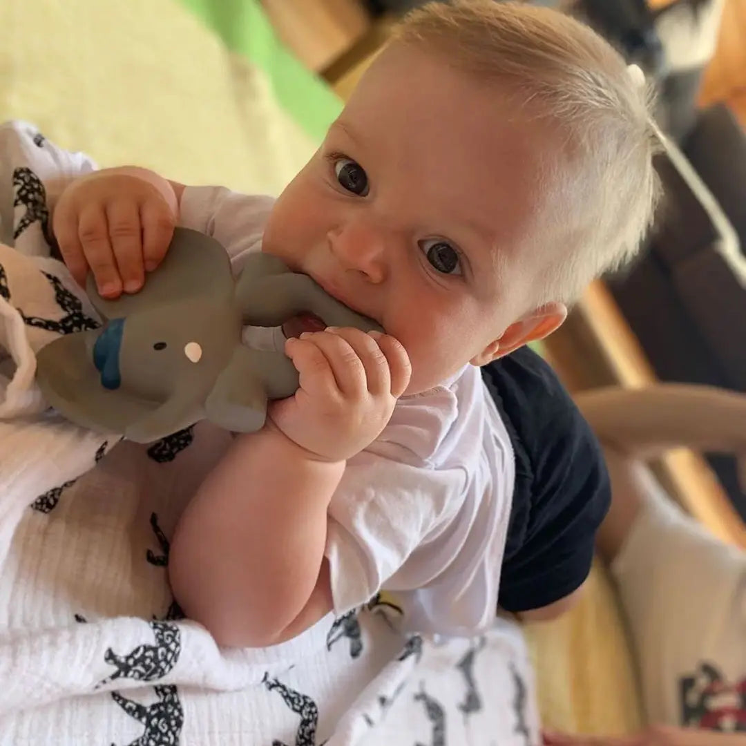 Natural Organic Teether, Rattle & Bath Toy: Alvin the Elephant