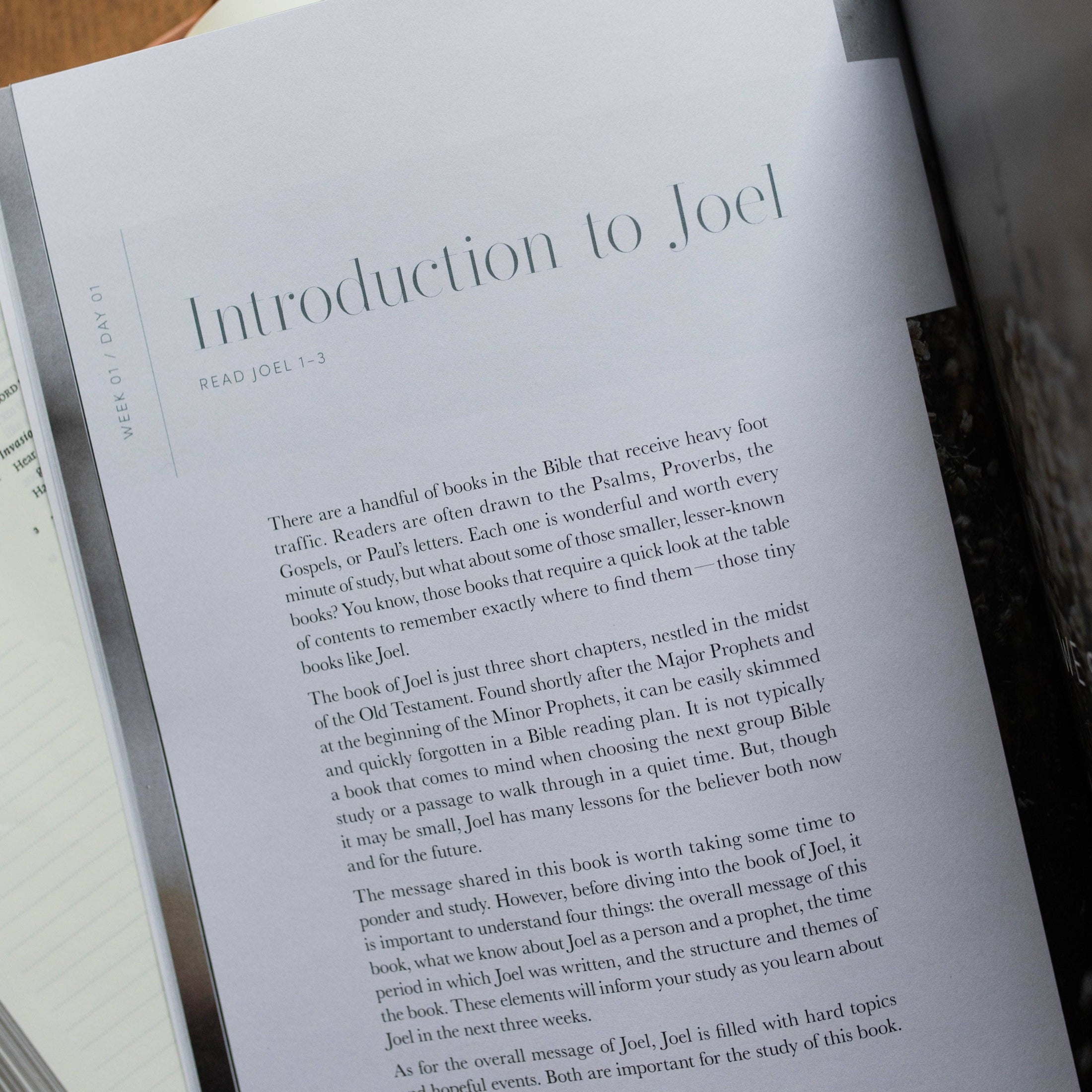 Devotional: Restored | A Study on the Book of Joel