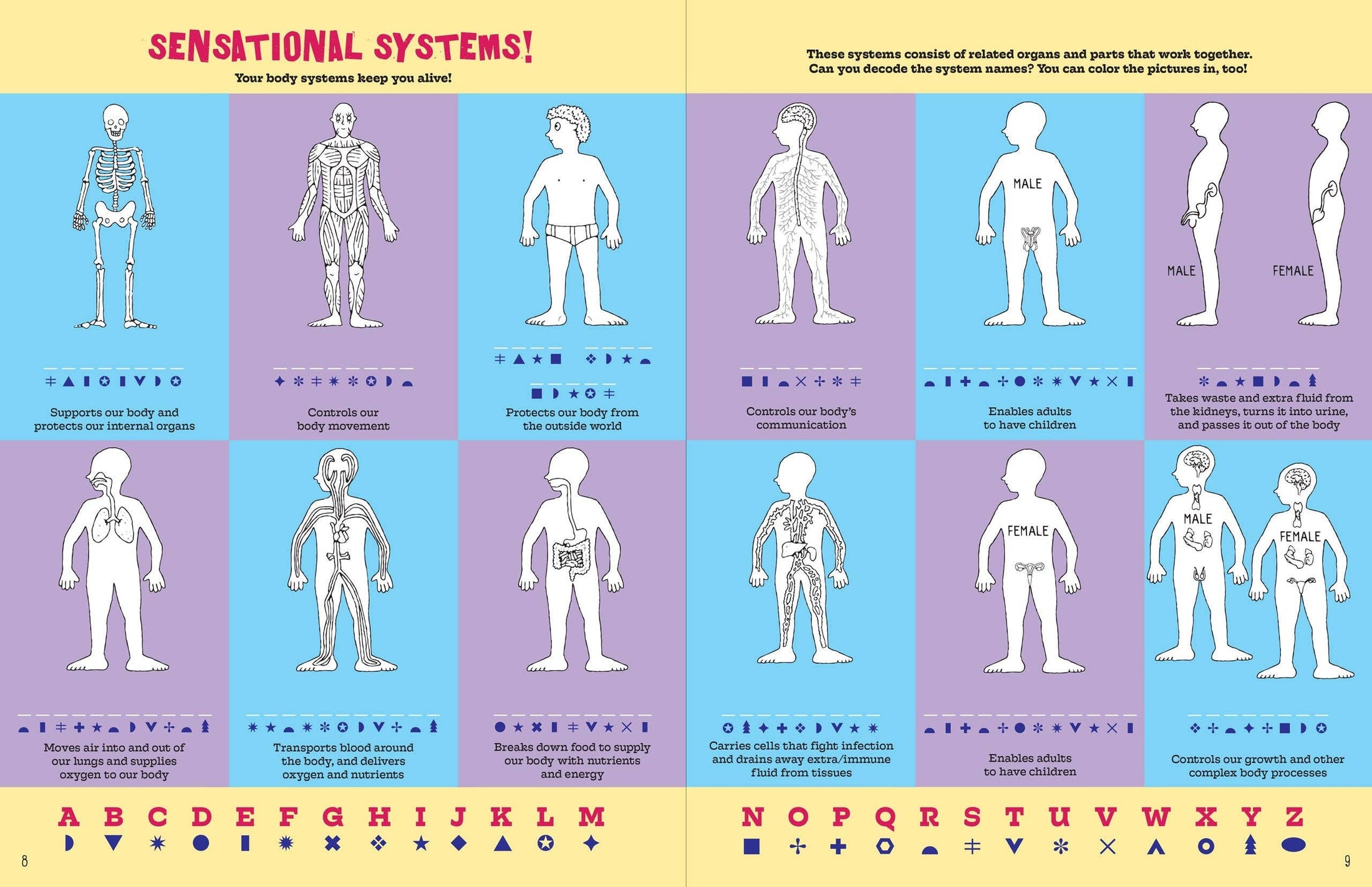 Book: The Human Body Activity Book