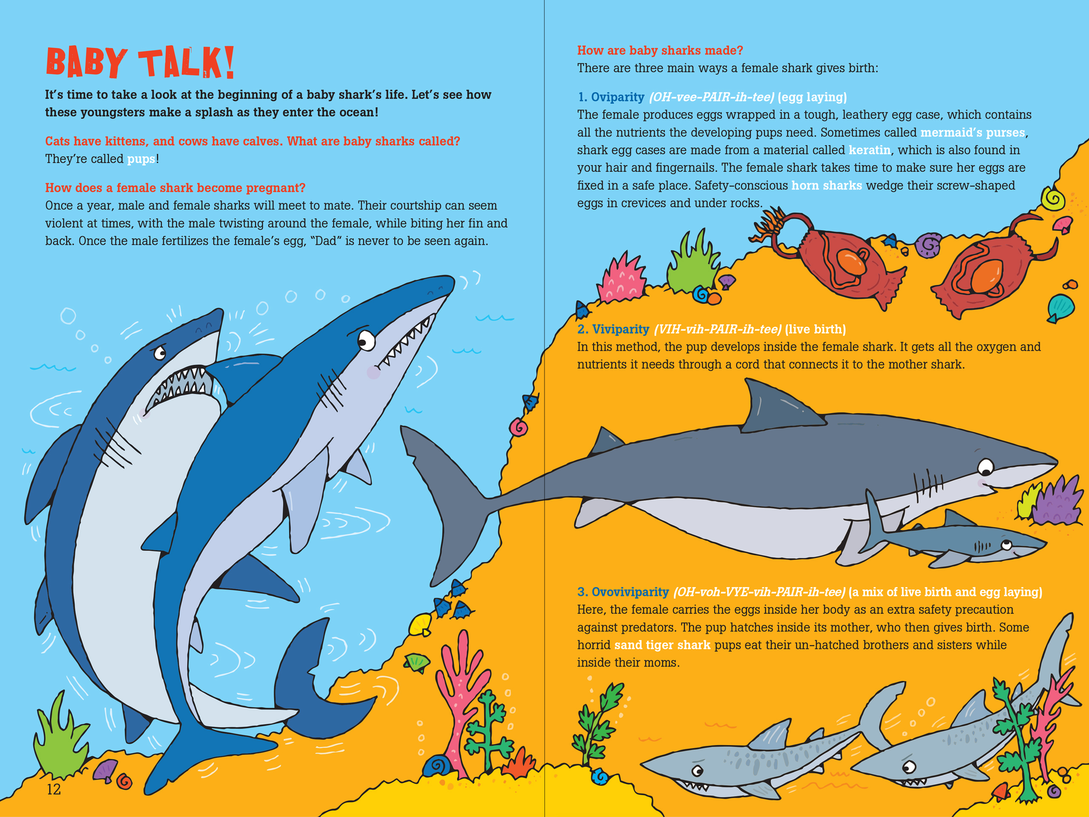 Book: 100 Questions About Sharks