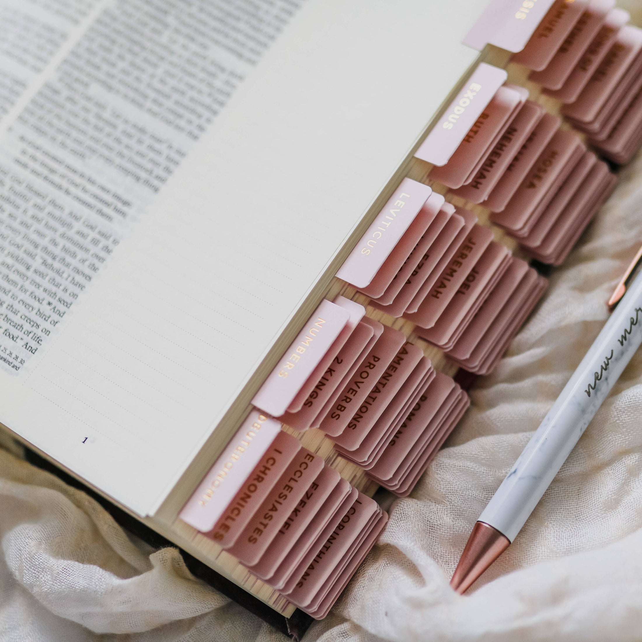 Bible Tabs: Blush