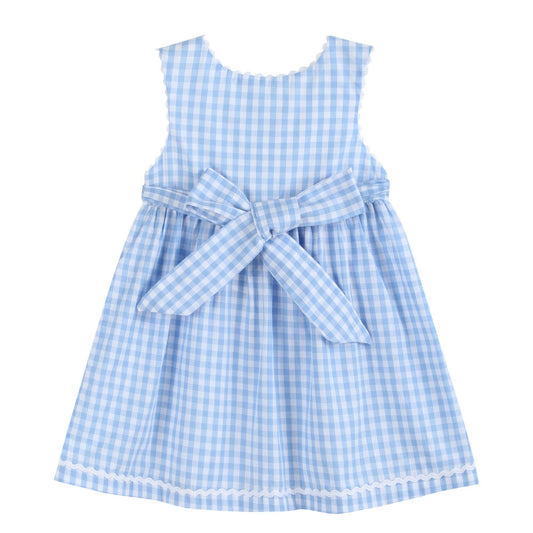 Dress: Blue Gingham Goose A Line Dress