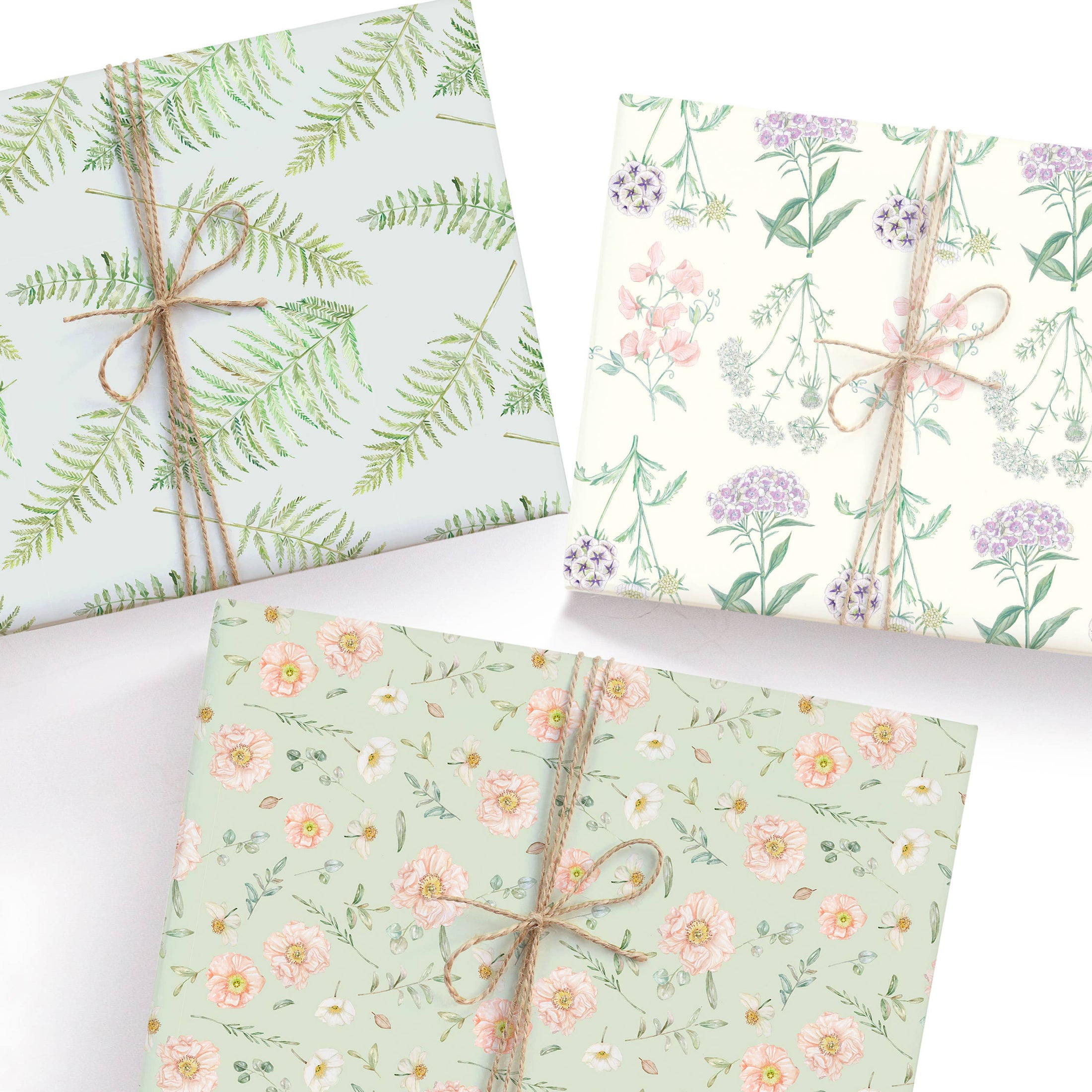 Gift Wrap: Vintage Ferns Gift Wrap Roll