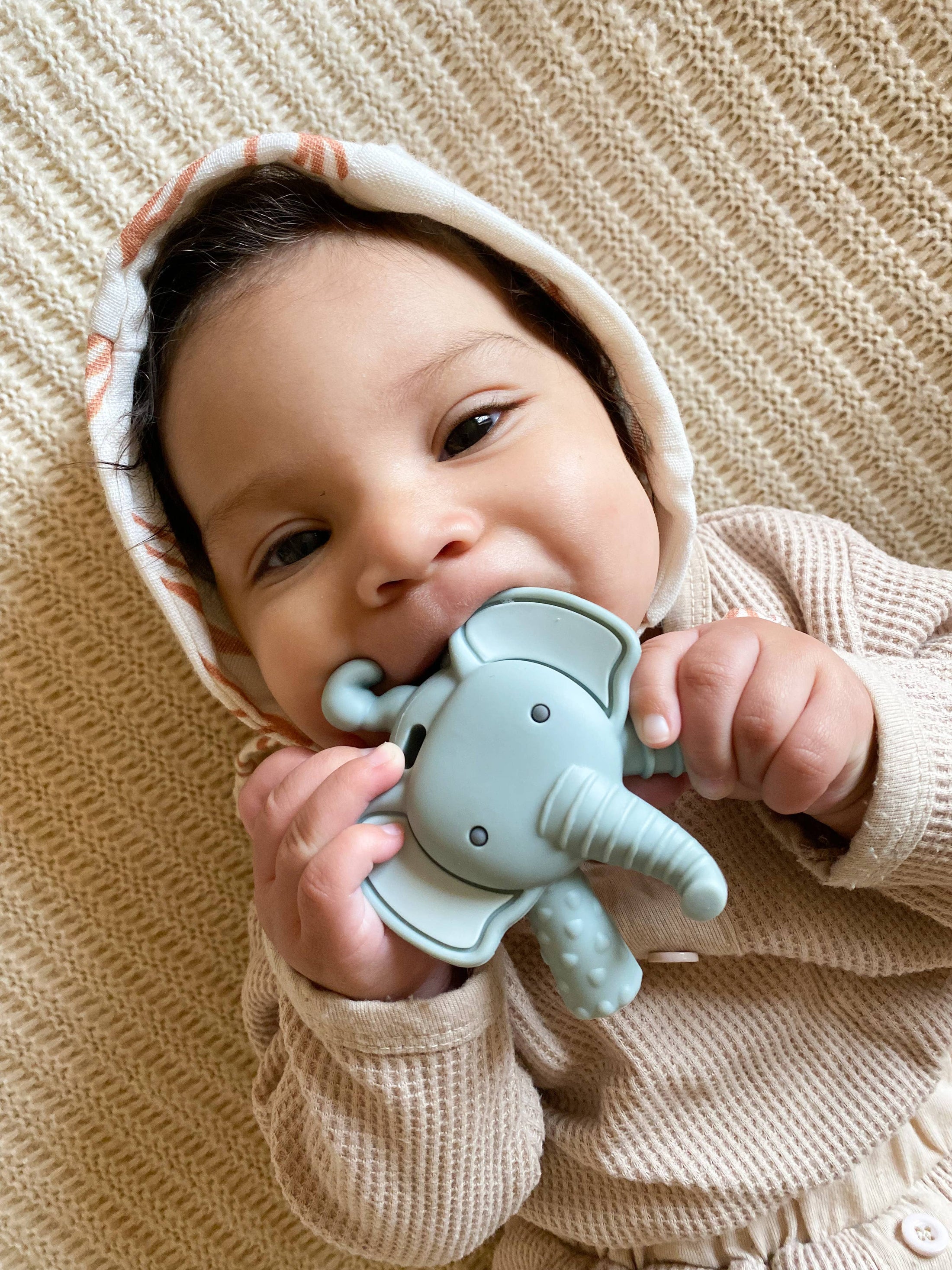 NEW Ritzy Teether™ Elephant Baby Molar Teether