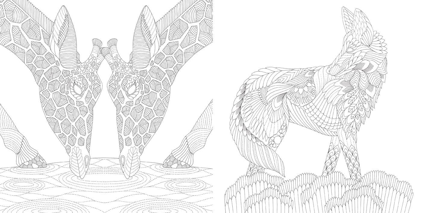 Coloring Book: Millie Marotta's Brilliant Beasts