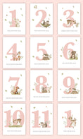 Load image into Gallery viewer, Baby Bundles: Beyond Measure #1 (Take Home Box) - Newborn Girl

