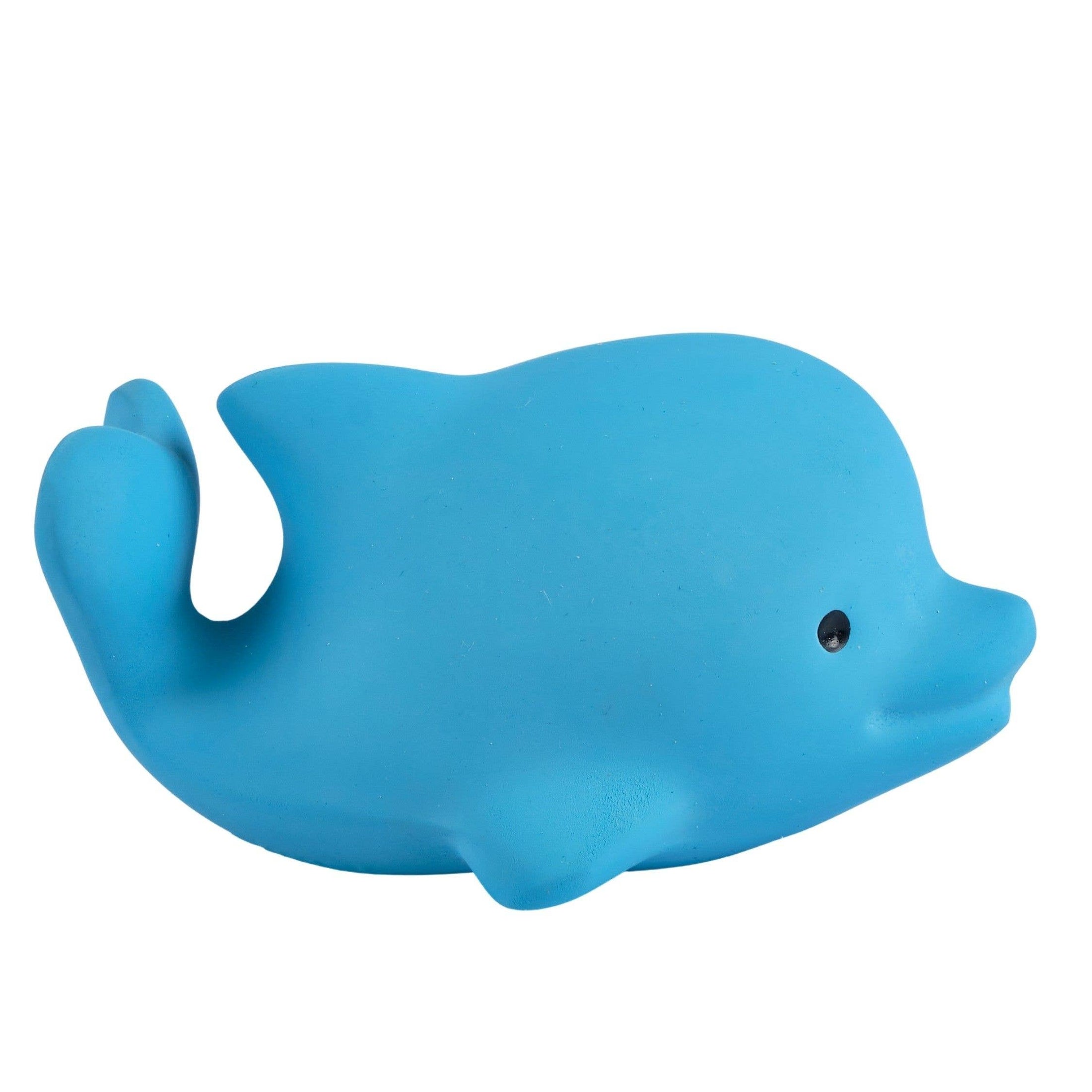 Natural Organic Teether, Rattle & Bath Toy: Dolphin